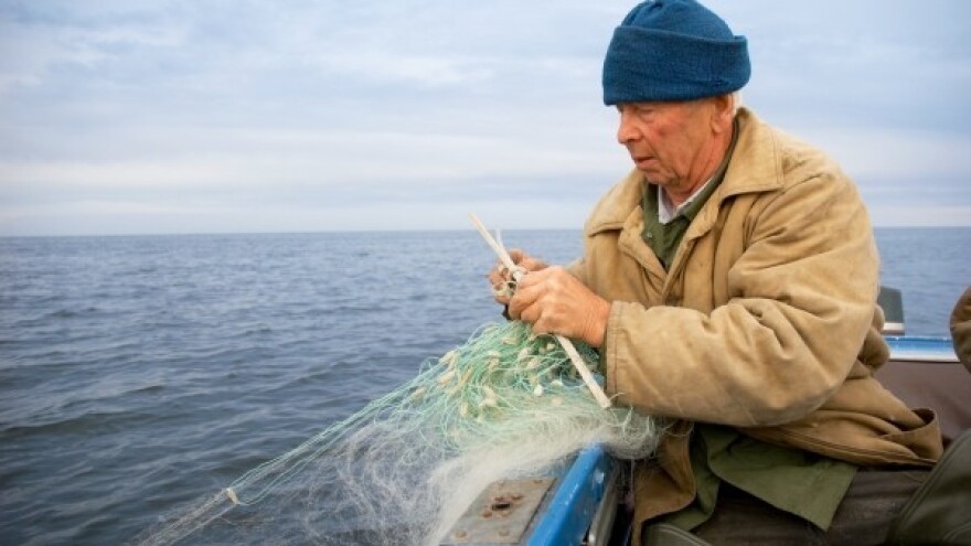 Ribarske muke po Uniji