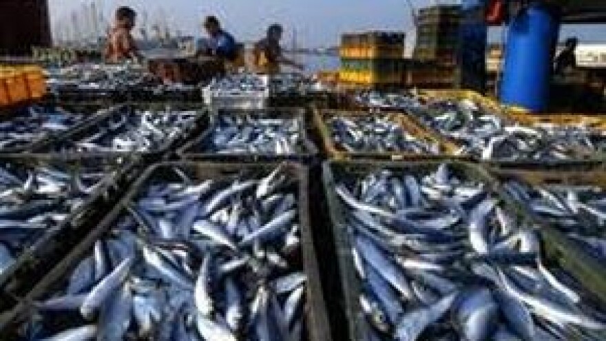 Pomoćnik ministra Jakovine na seminaru o ZRP-u