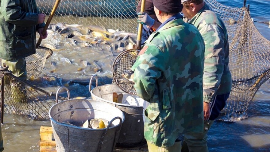 Prijavljujete se na natječaj za akvakulturne investicije?