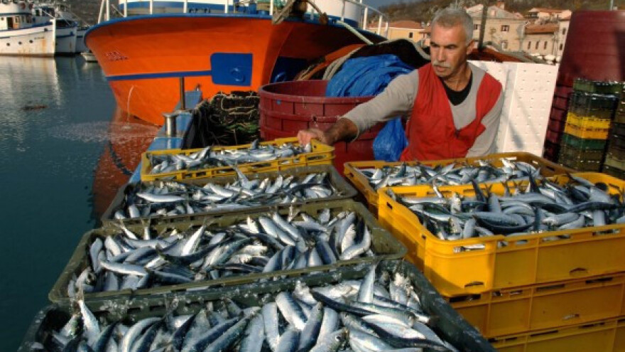 Idući tjedan tri natječaja za ribare!