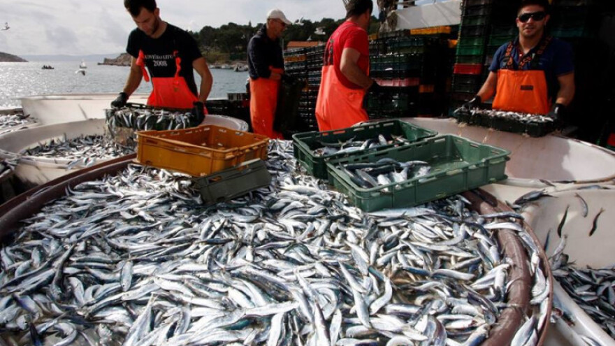 71 milijun kuna za lokalne strategije u ribarstvu