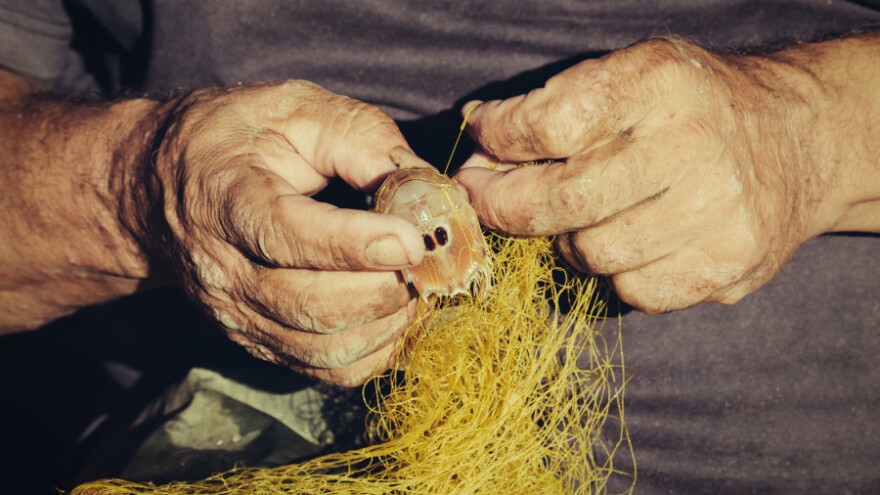 Ribari žele kontakt sa Slovencima na najbližoj razini