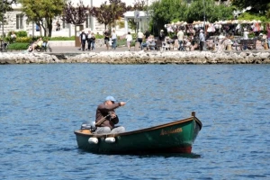 Zabrana izlova srdela i inćuna u Jadranu?