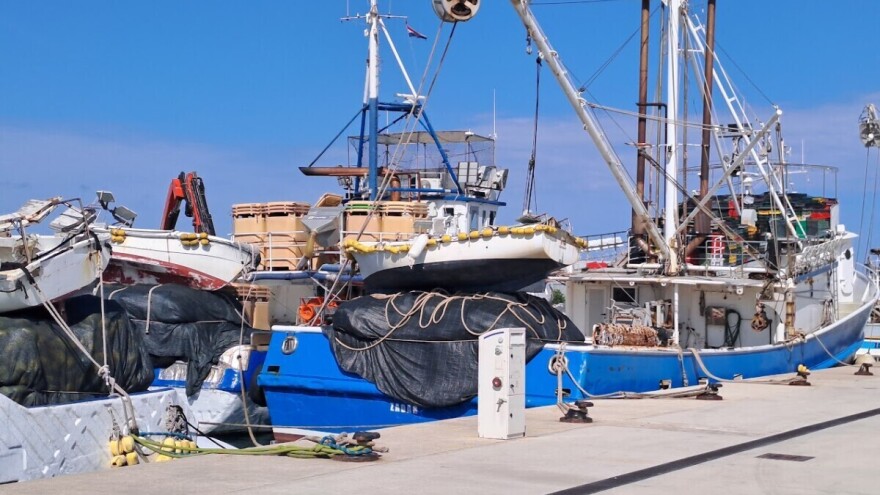 Od 1. siječnja izvješća o gospodarskom ribolovu na moru isključivo preko mobilne aplikacije