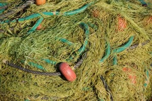 Predstavljanje projekta Ekomuzej Terra Marique u Komiži