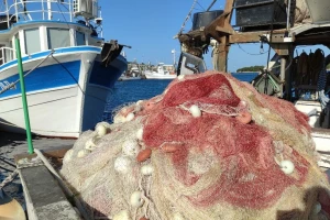 Kako do državne potpore male vrijednosti u ribarstvu i akvakulturi?