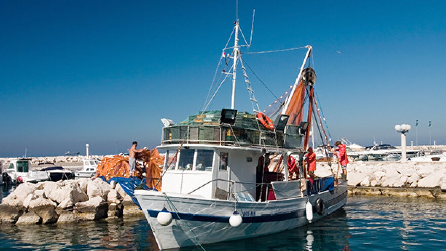 EU traži hitno zaustavljanje pada fonda brancina