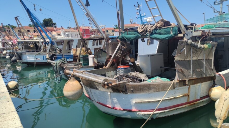 Kako do potpora za poticanje razvoja ribarske i akvakulturne zajednice?