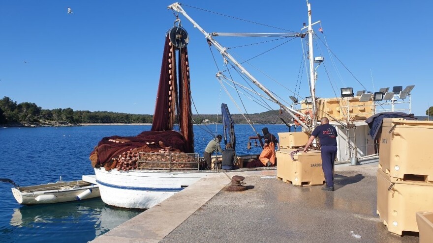 Potrošnja proizvoda ribarstva i akvakulture po osobi narasla za 11 posto