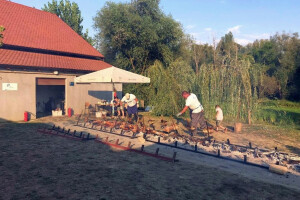 Fiš paprikaš, šaran u rašljama i - čardaš! Ribarski dani potvrdili, hedonizam je na istoku