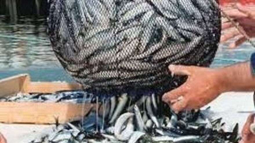 Prvi euri iz EU za ribarstvo