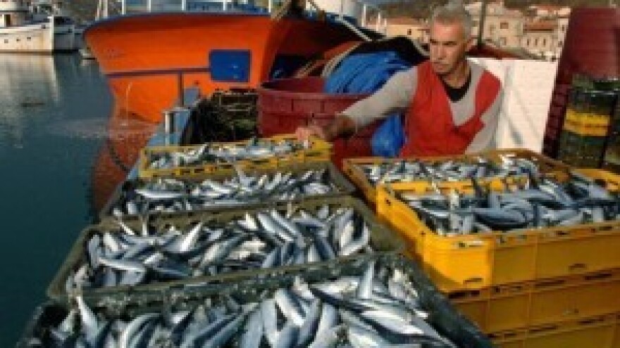 Tribunj dobio veletržnicu ribom