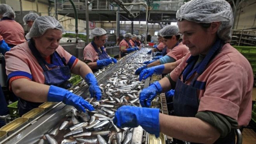 Kvota za izvoz ribe u EU i dalje 60 tona?