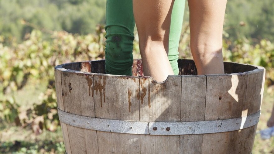 Ribe će dobro plutati u financijama!