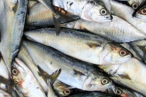 Talijani će ribu loviti, ali samo uz našu dozvolu