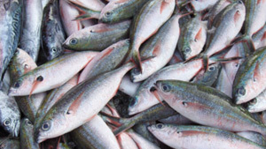 Ribari u nikad težoj situaciji, no neće prosvjedovati