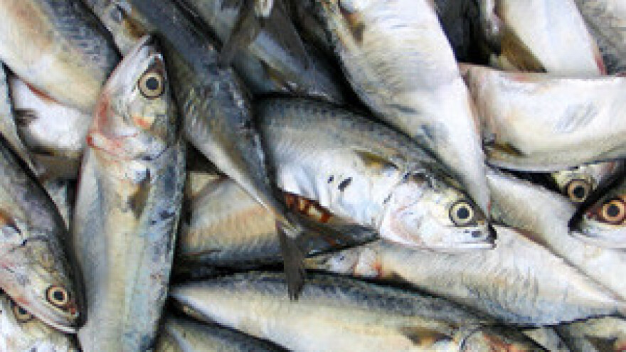 Prezentacija projekta "Jačanje hrvatske administracije nadležne za strukturnu politiku i državne potpore u ribarstvu"