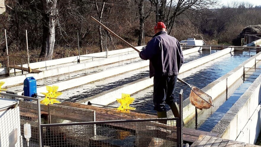 Otvoren drugi konkurs za izgradnju i rekonstrukciju ribnjaka