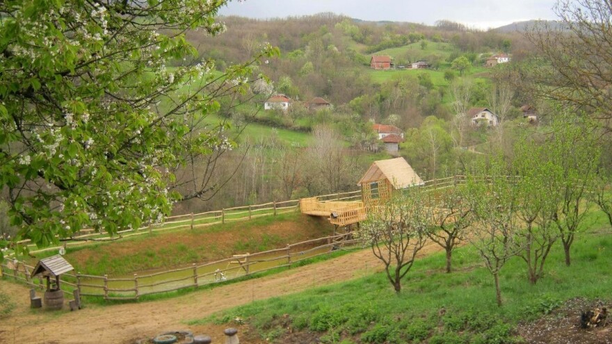 Proizvodnja ribe - profitabilna delatnost u Srbiji za koju nema interesovanja