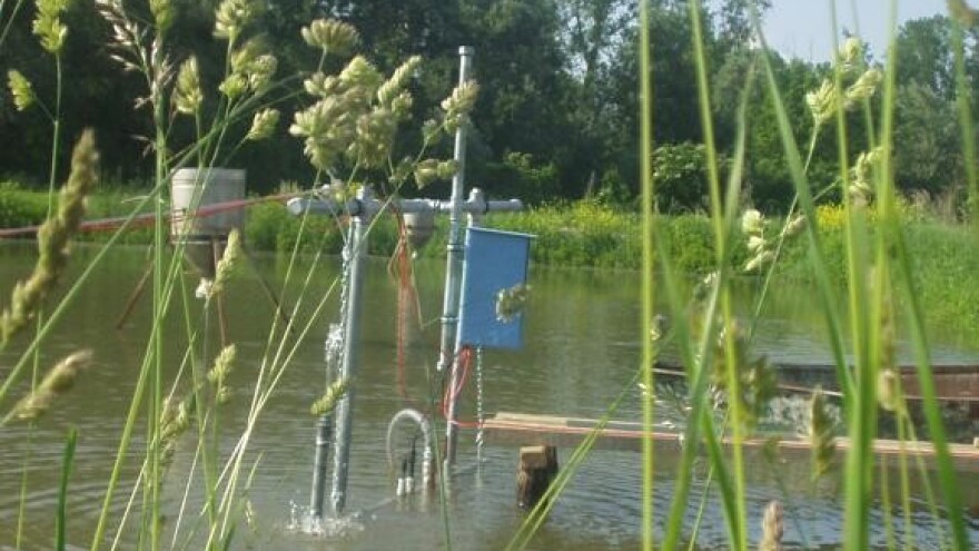 Opljačkani Todorićevi ribnjaci