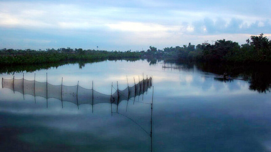 U Srbiji se gasi sve više ribnjaka