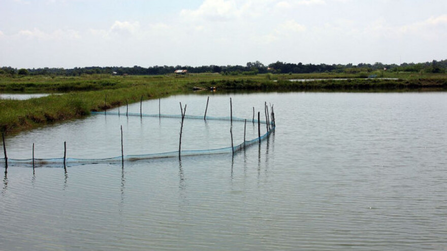 Mnogo prostora za napredak ribarstva