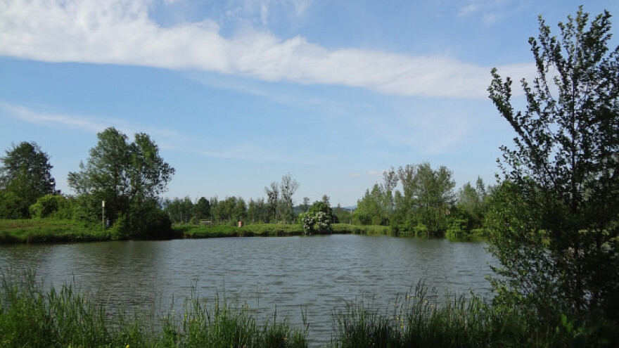 Konkurs za gradnju i rekonstrukciju ribnjaka