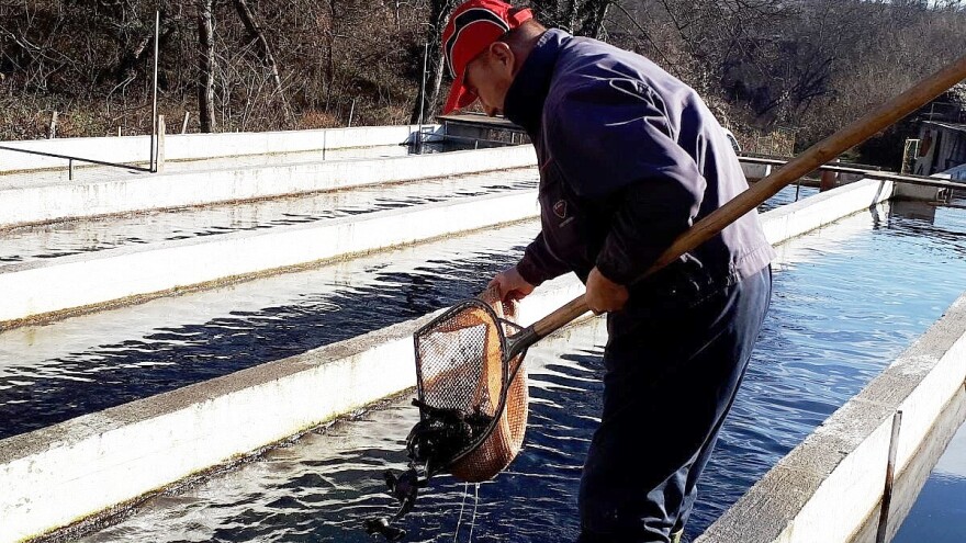 Podrška u podizanju novih i rekonstrukciji postojećih ribnjaka u Vojvodini
