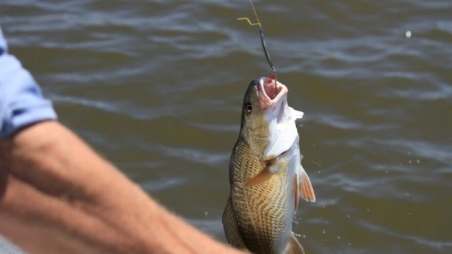 Javni poziv za zakup ribnjaka Blagorodovac