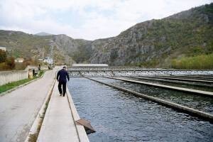 Proizvodnja zdrave hrane u Zagori