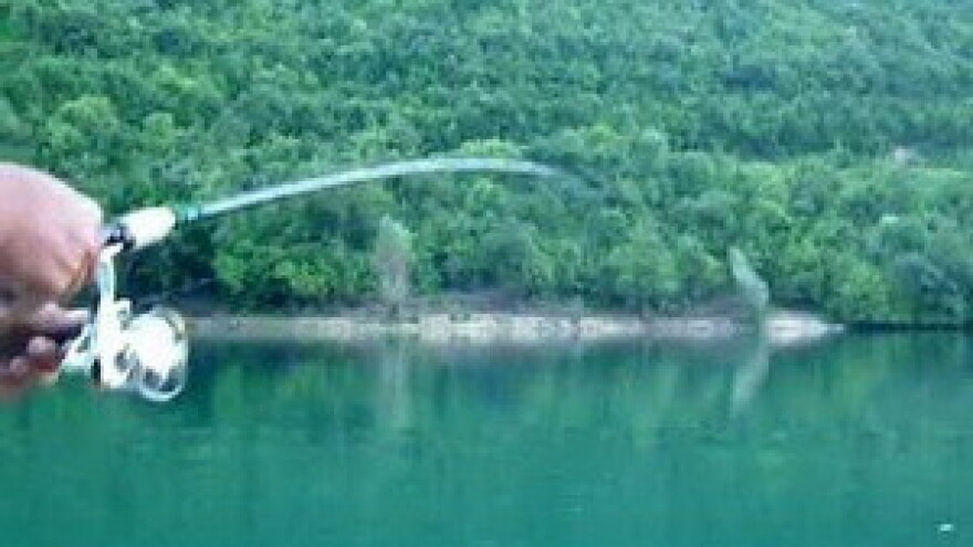 Anarhija u slatkovodnom ribarstvu