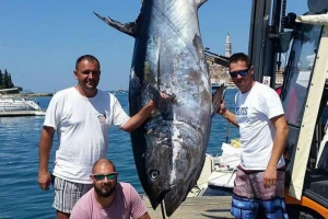 Ulovljena tuna od 340kg - najveća ikada u RH!