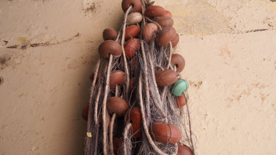 Javnost o registru povlastica za gospodarski ribolov na moru