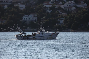 Otkupne cijene ribe na razini od prije 15 godina, a samo plavi dizel trostruko skuplji