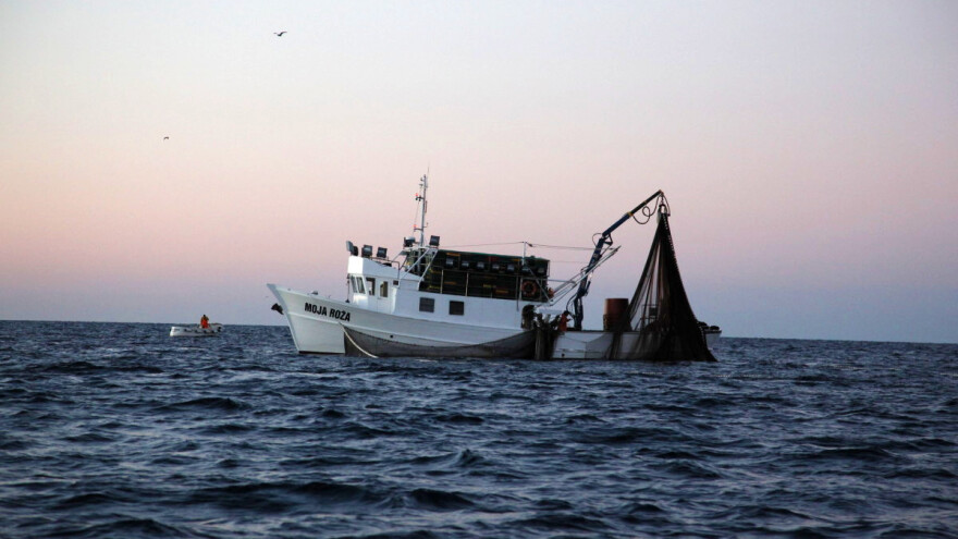 Limitiran ulov srdelarom, u savjetovanju pravilnik o ribolovnim mogućnostima
