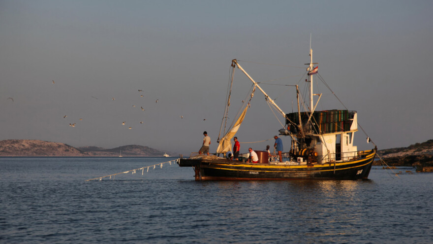 Prilov je problem ribarima, ali i jedna od najvećih prijetnji za osjetljive vrste