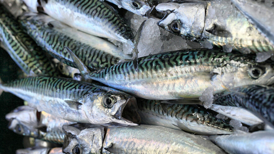 Certifikat međunarodne norme ISO 9001:2015 uručen Upravi ribarstva