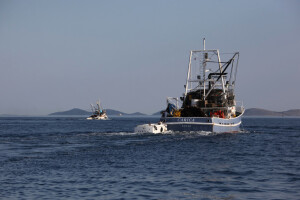 Otvoreno pet natječaja za ribarstvo - vrijedni su 20 milijuna kuna