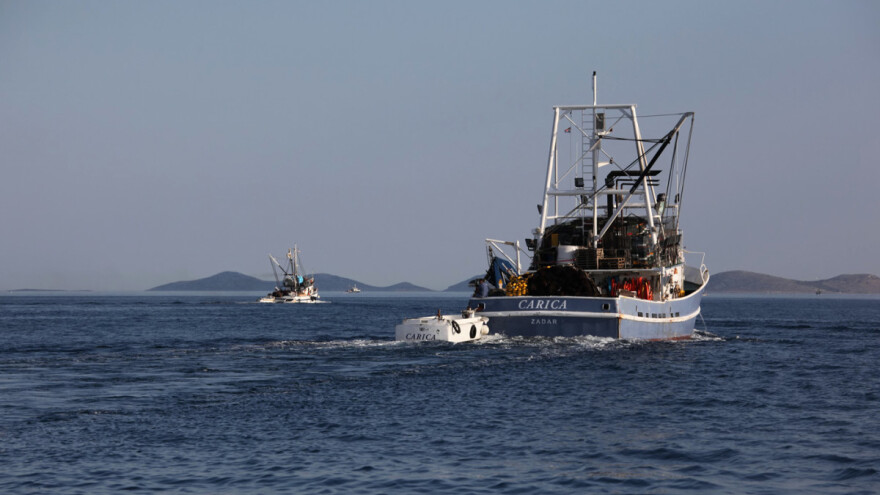 Otvoreno pet natječaja za ribarstvo - vrijedni su 20 milijuna kuna