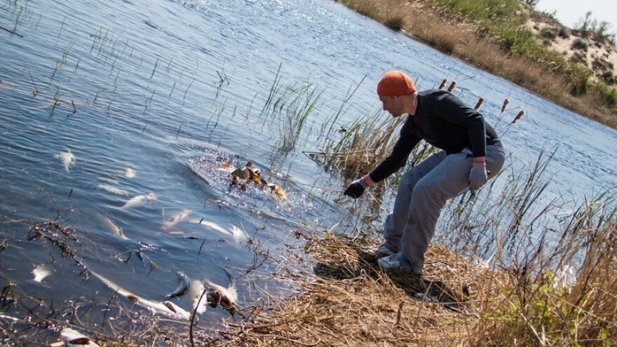Novi zakon o slatkovodnom ribarstvu