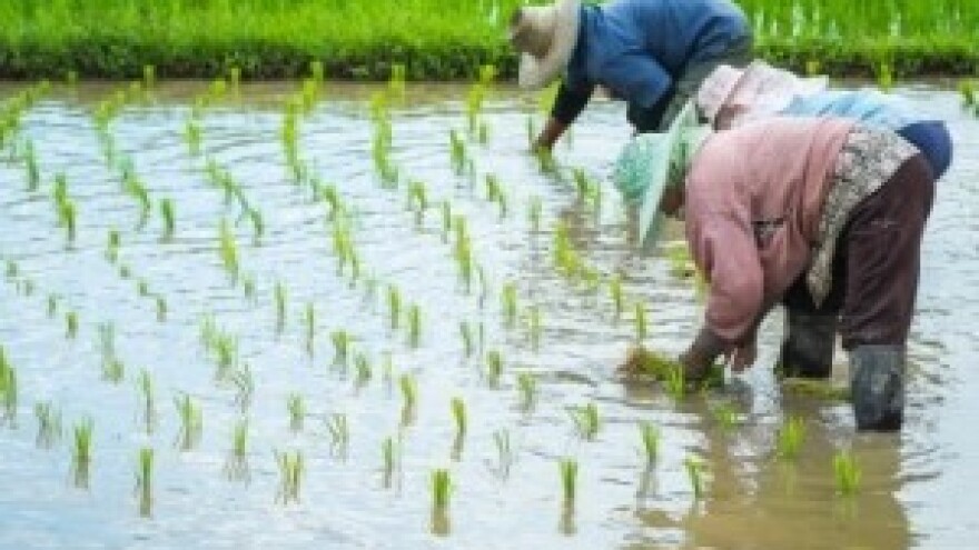 Japanski izvoz u padu zbog slabe potražnje SAD-a
