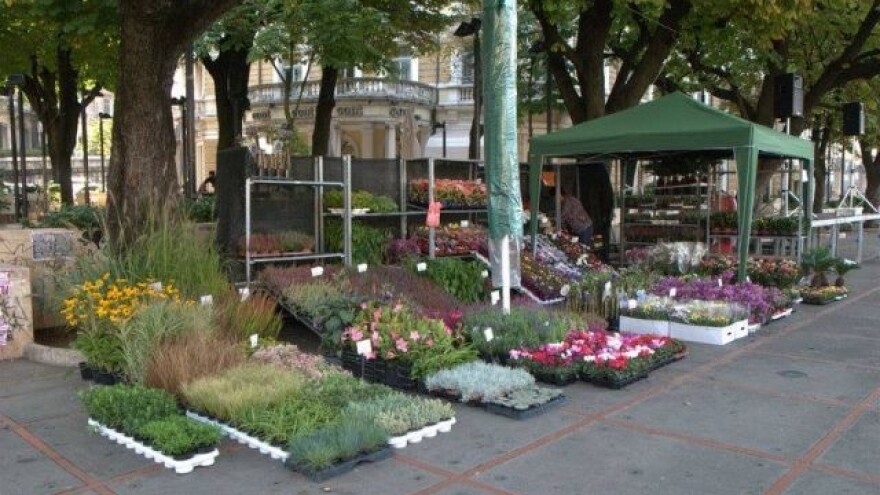 Tradicionalno Cvjetno proljeće u Rijeci