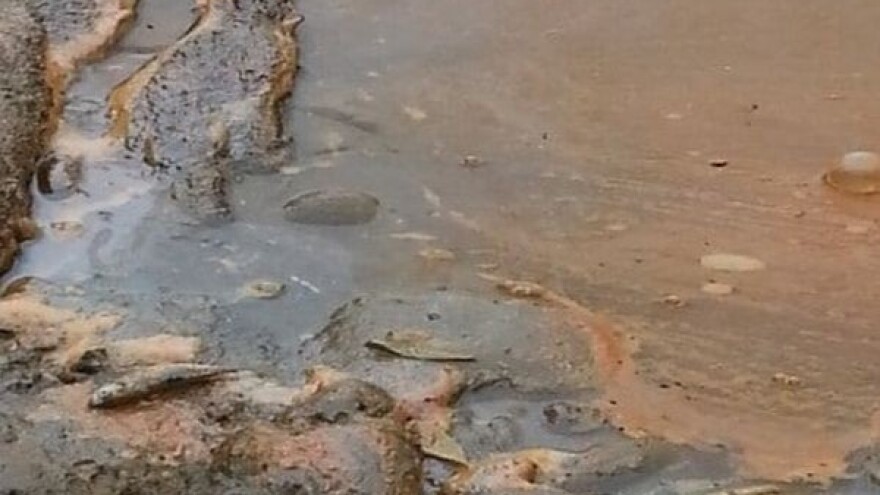 Riblji fond se neće oporaviti pet godina?