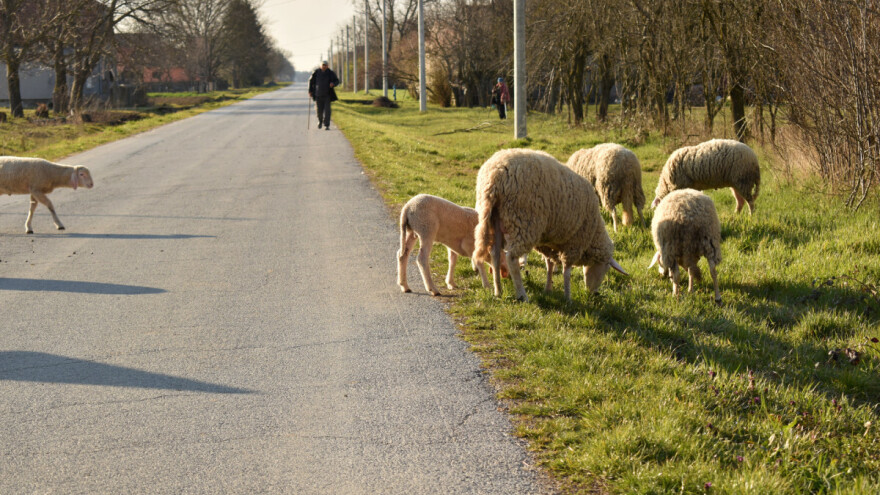 Koliko je Zajednička poljoprivredna politika pomogla u razvoju sela?