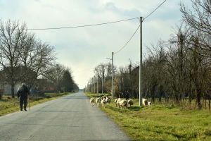 Bijeljina sufinansira kupovinu seoskog domaćinstva s 20.000 KM