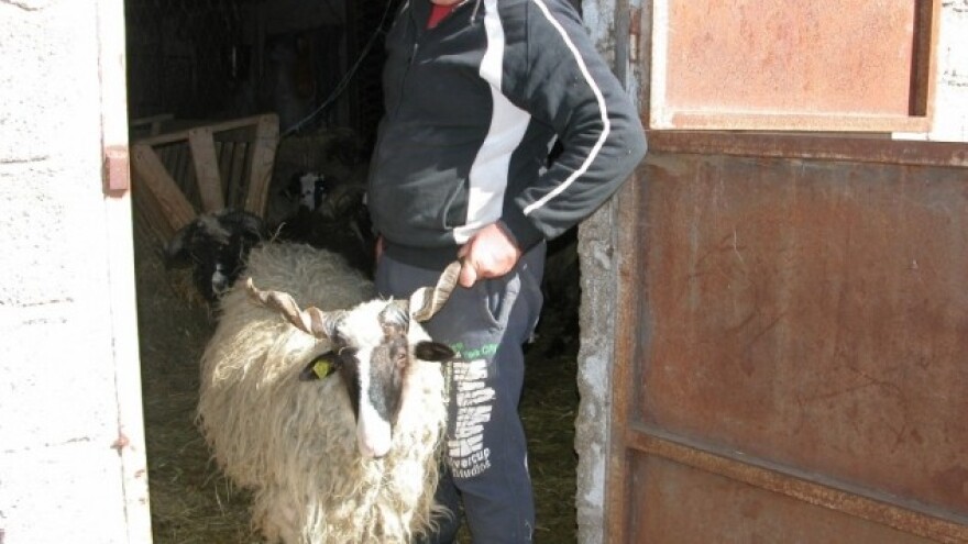 250 eura po hektaru više za dalmatinske farmere?