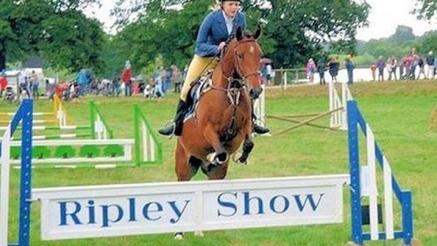 Brojna natjecanja i izložbe na sajmu Ripley Show