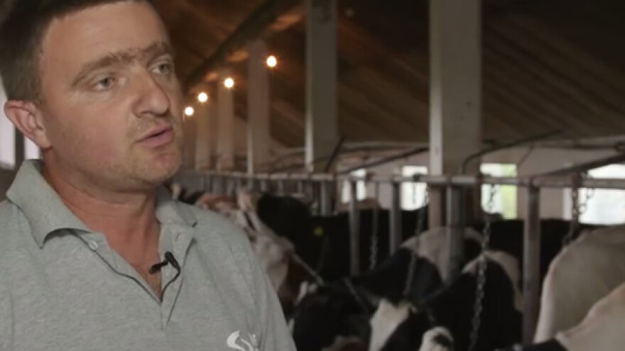 Na svom gazdinstvu objedinio tri rase goveda