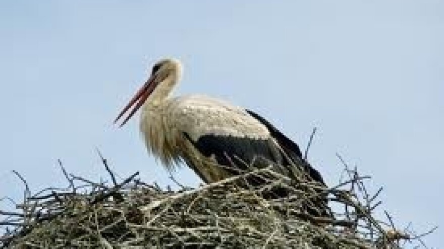 Očuvati biološku raznolikost i prostor