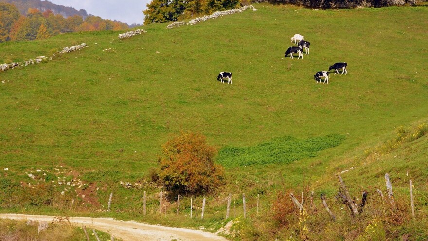Poziv firmama: Učestvuje na 23. Međunarodnom poslovnom forumu